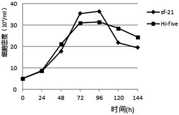 Serum-free medium for culturing insect cells in full suspension mode and preparation method and application thereof