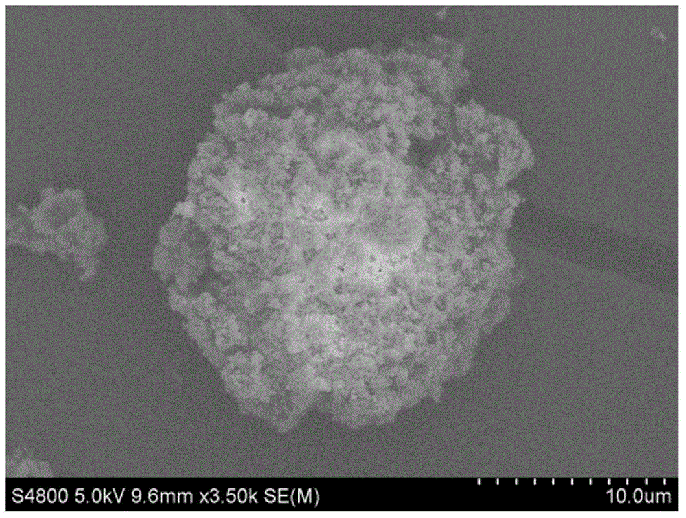 A kind of preparation method of organic carrier of olefin polymerization catalyst