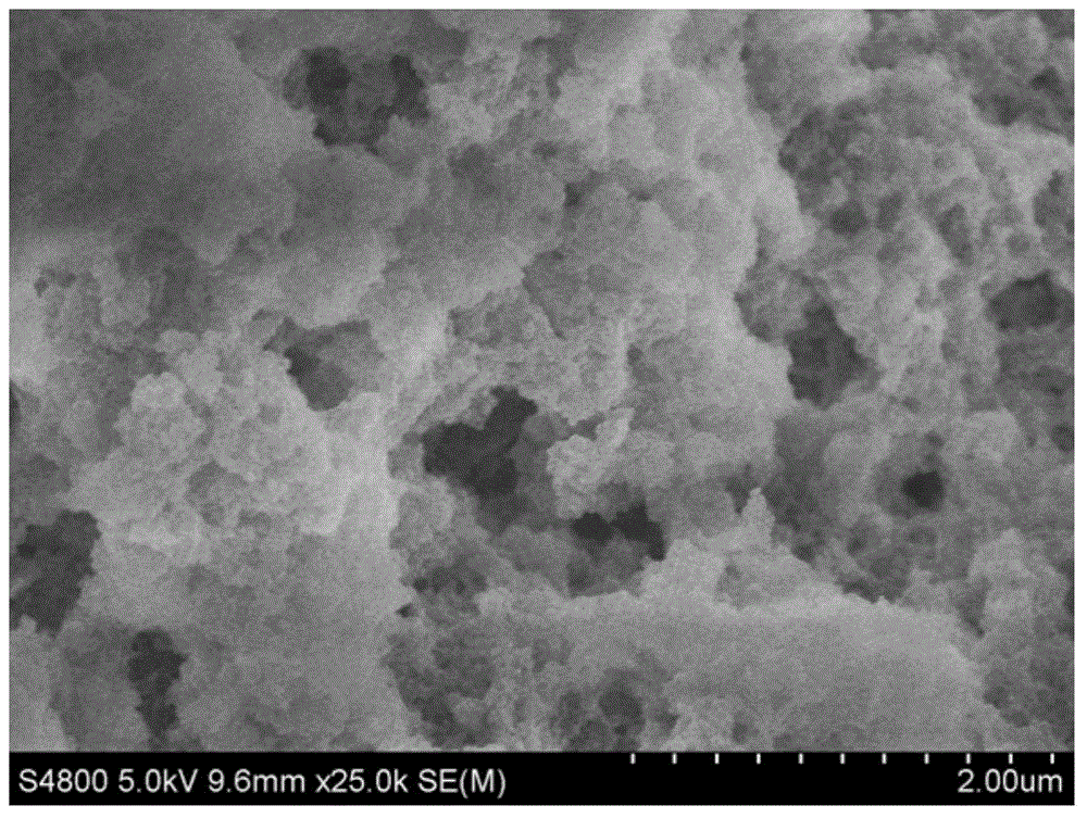 A kind of preparation method of organic carrier of olefin polymerization catalyst