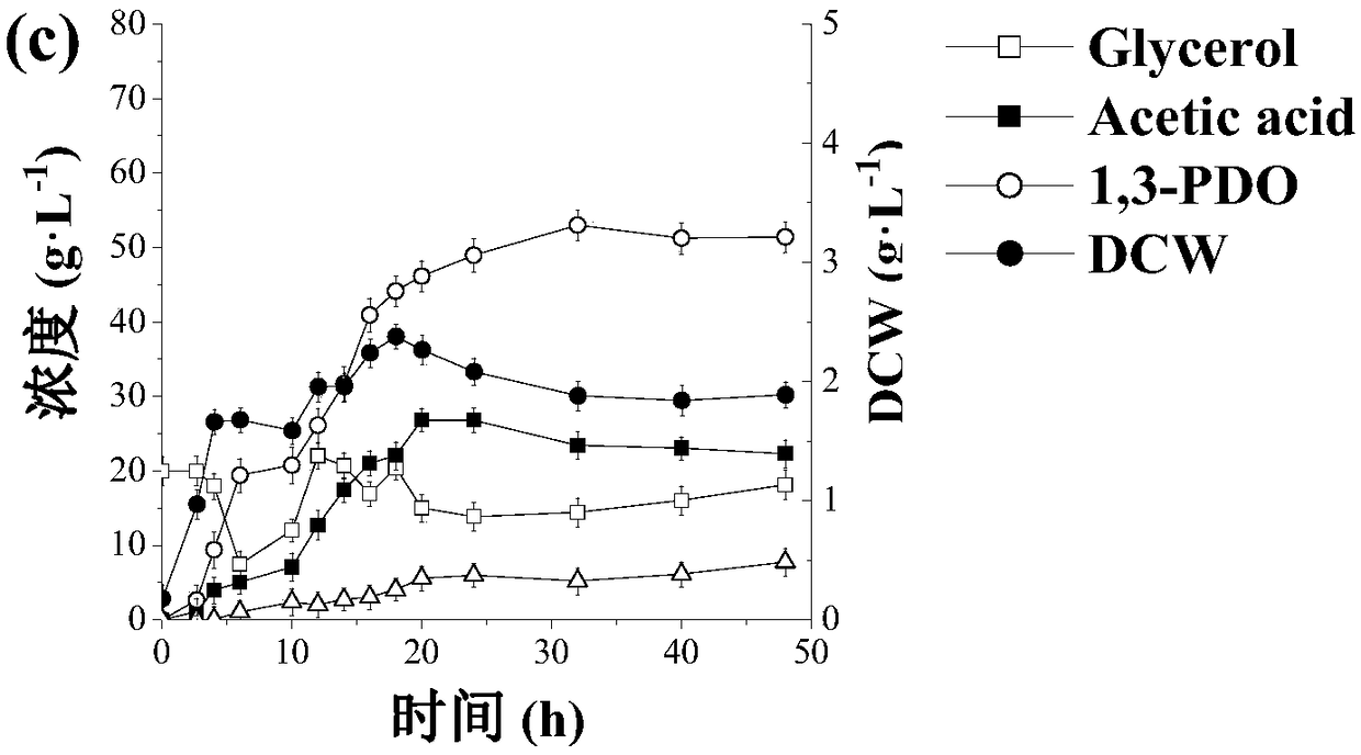 Application of recombinant klebsiella pneumoniae in producing 1,3-propylene glycol