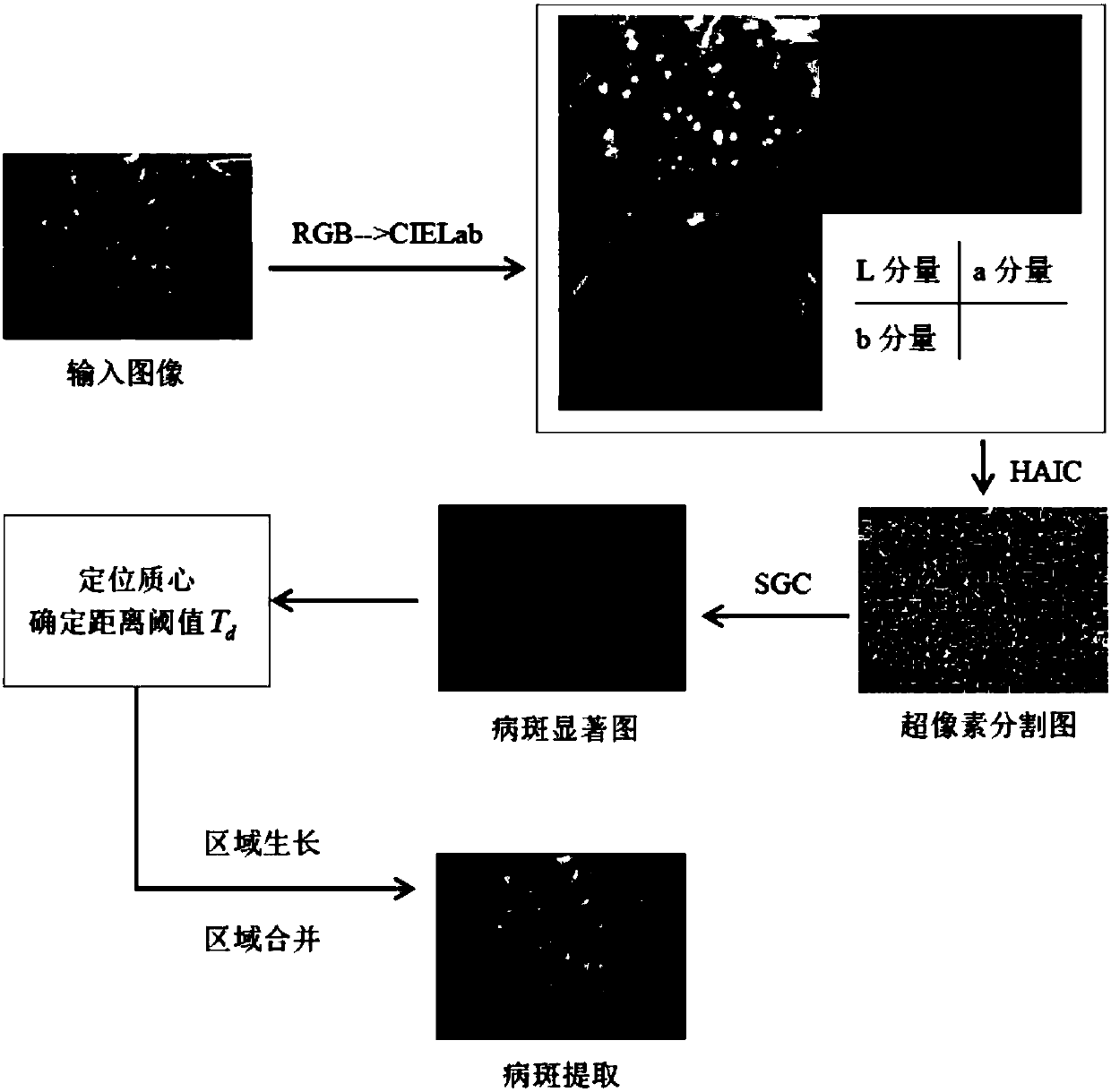 Vegetable leaf disease image segmentation method and system and computer readable storage medium