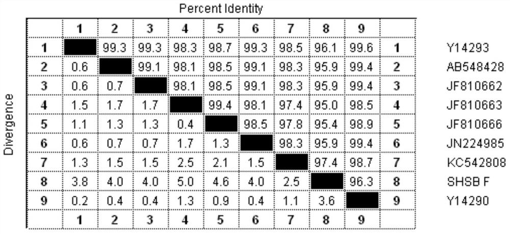 A Type b Avian Metapneumovirus Subunit Vaccine