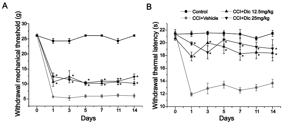 Application of biscoumarin in preparation of anti-epileptic and analgesic drugs