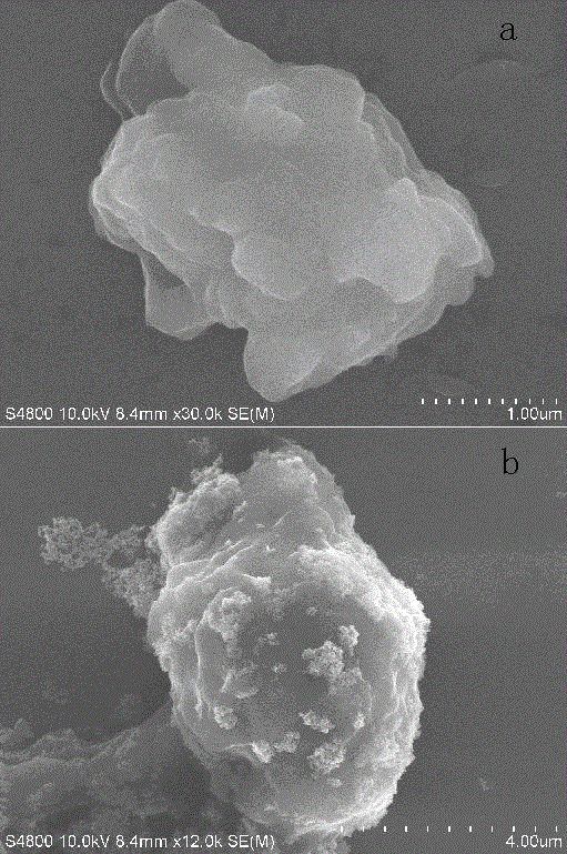 Immune nanometer magnetic bead enzyme-linked immunosorbent assay method for detecting blood platelet antibody