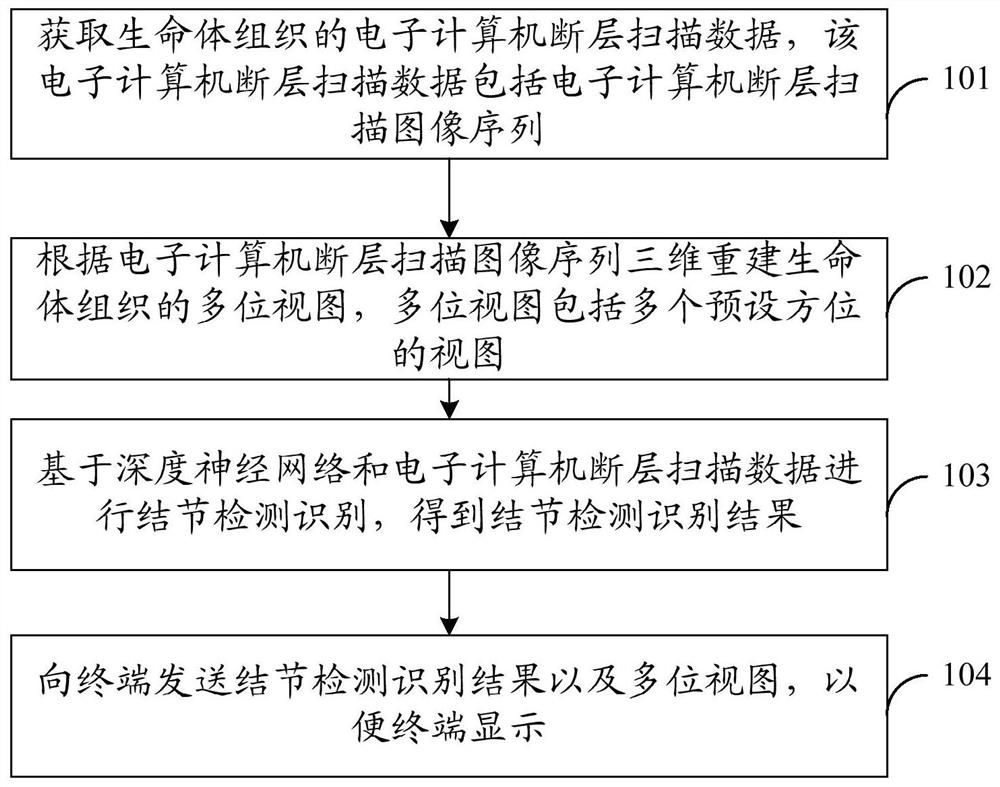 A nodule detection method, device and storage medium