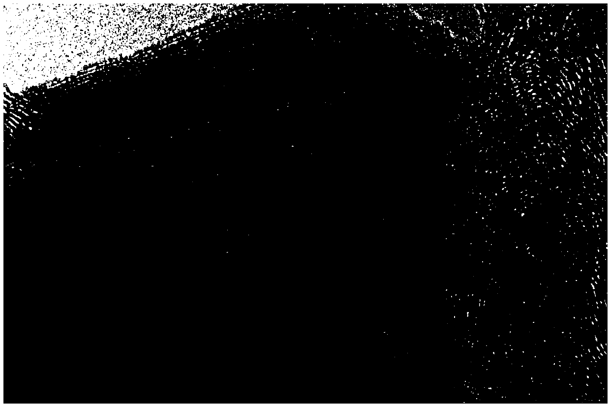 Carbon composite sodion anode material and preparation method thereof