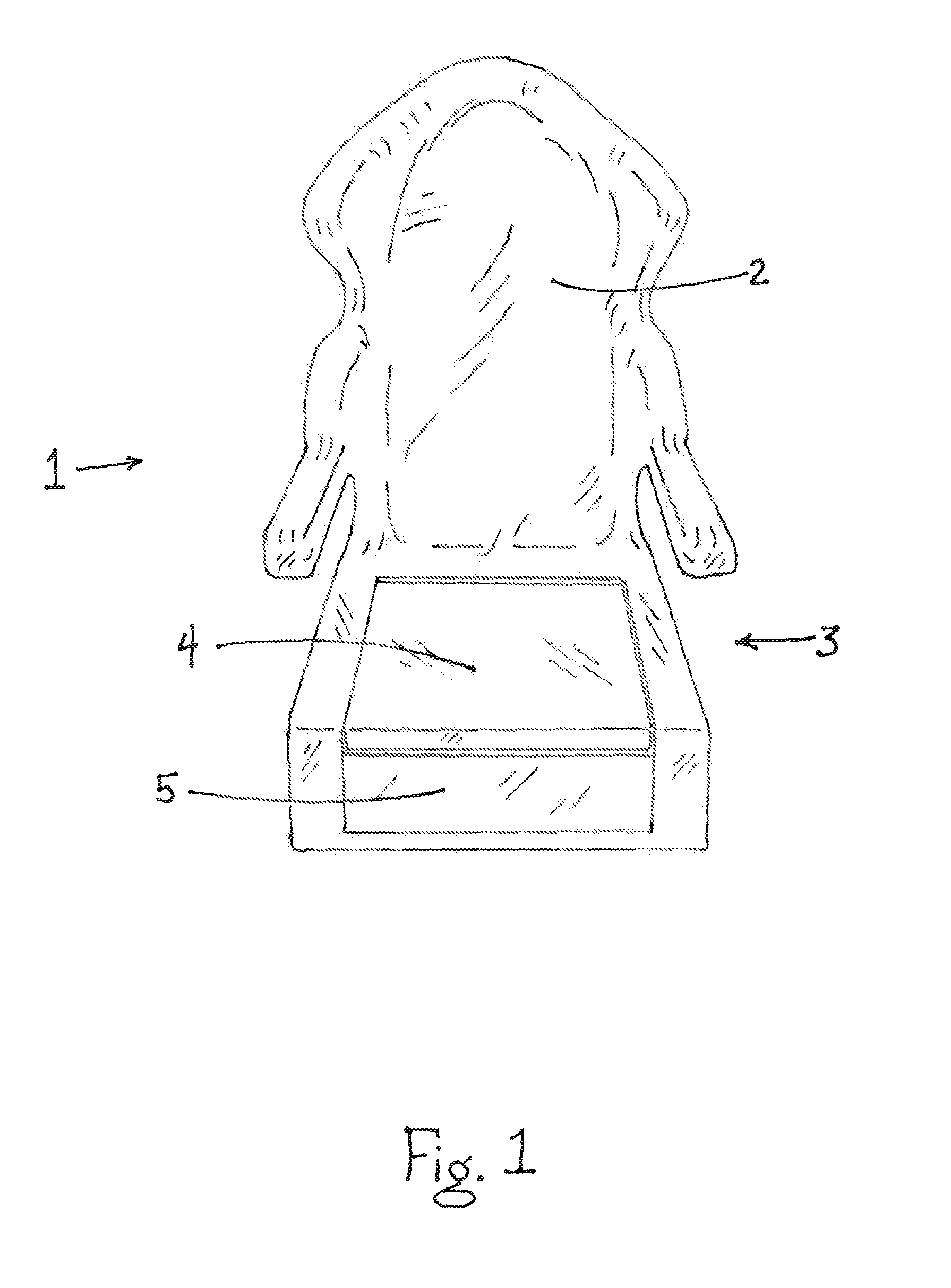 Combination Potty and Child Car Seat