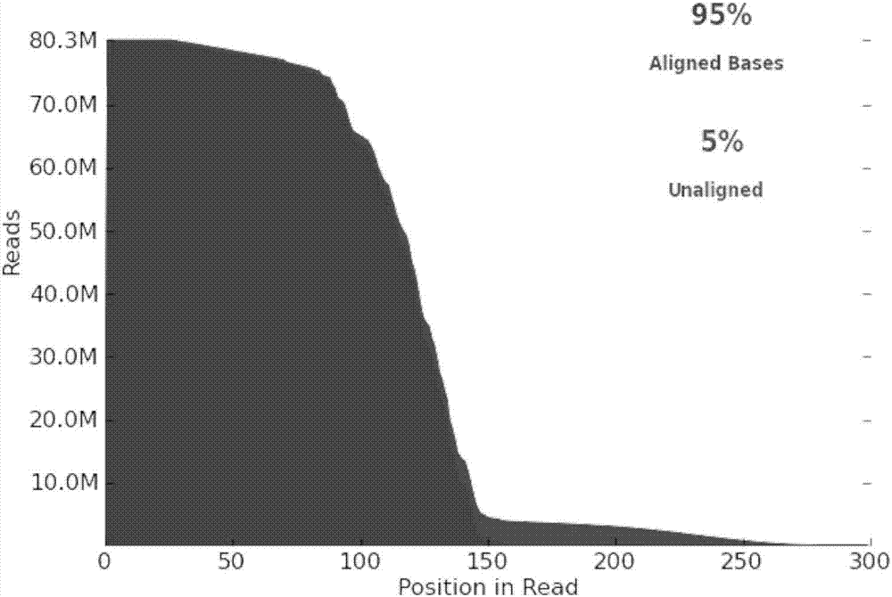 BRCA1/2 genovariation combined detection kit and application thereof