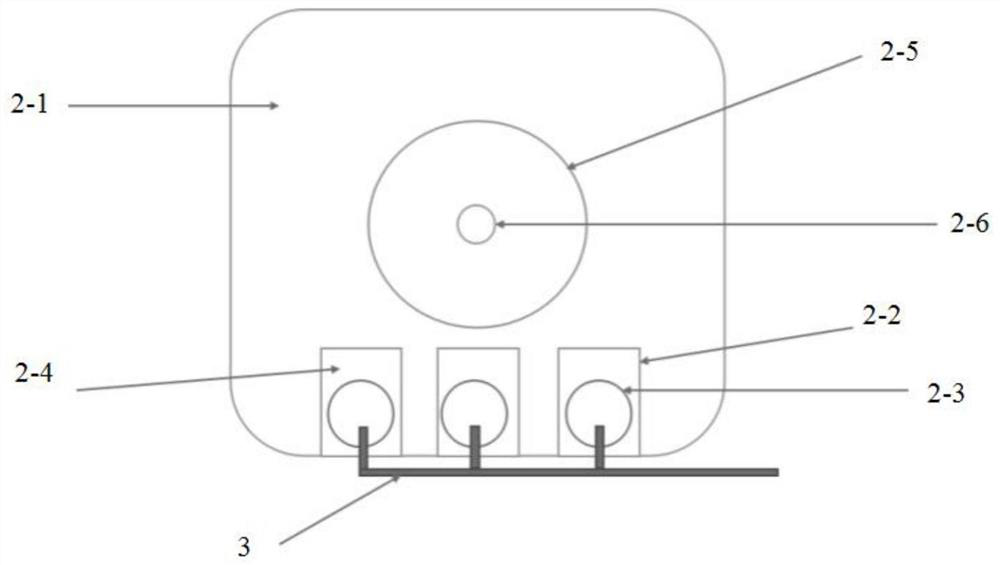 Indoor domestication and cultivation device and method for wild juvenile yellow-fin tunas