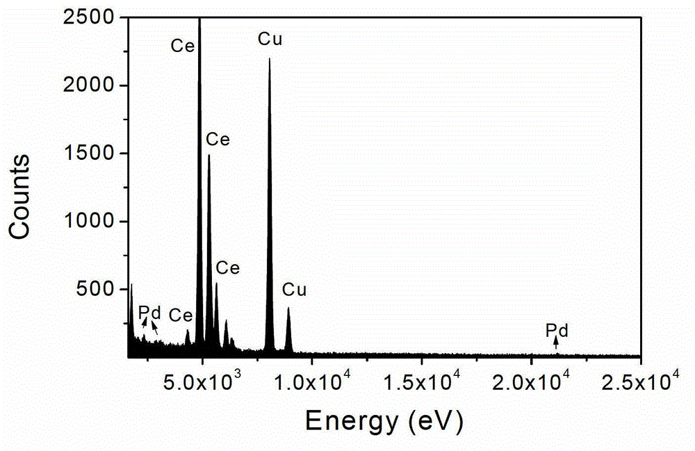 Bio-reduction preparation method of palladium catalyst