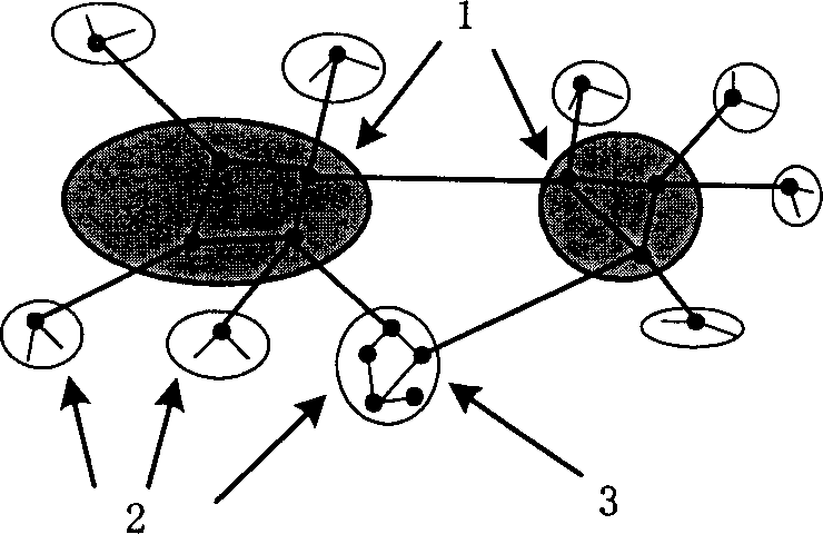 Simulation method and system for priority protocal of Internet large-scale route to open shortest path