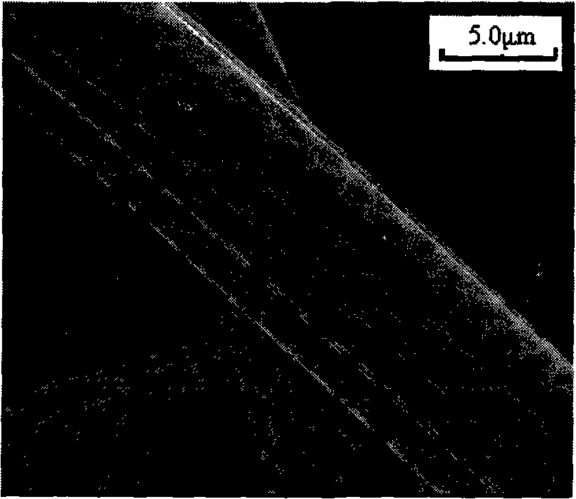 Supported optical catalyst and preparation method thereof