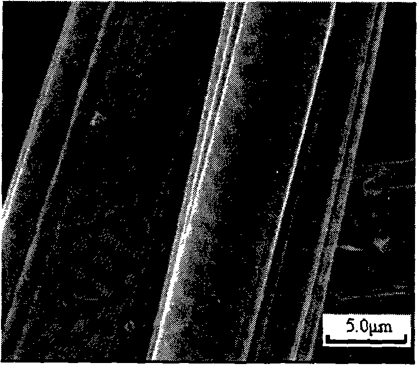 Supported optical catalyst and preparation method thereof