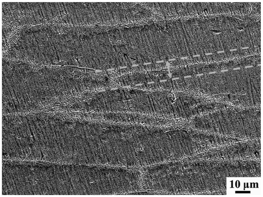 A method of combining powder metallurgy and forging to prepare ti2alnb matrix composite materials with imitation shell laminated structure