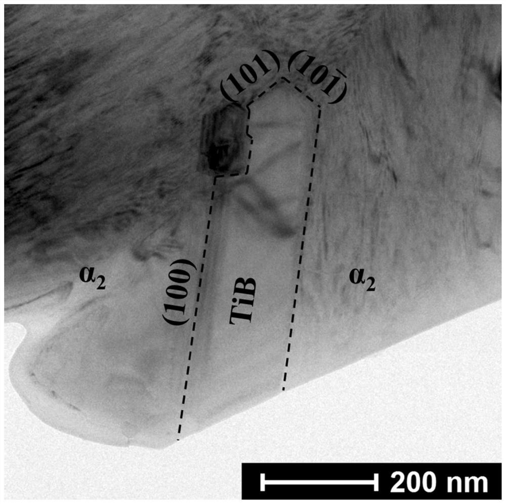 A method of combining powder metallurgy and forging to prepare ti2alnb matrix composite materials with imitation shell laminated structure