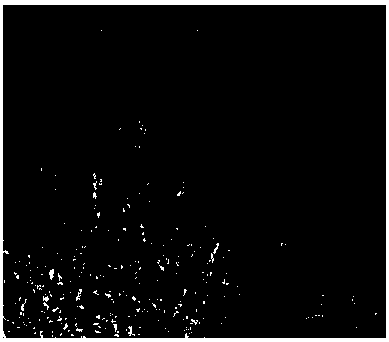 Heat-resisting aluminum alloy and preparation method thereof