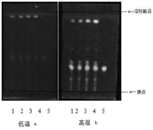 Fried pagodatree flower formula granules, and preparation method and quality standard detection method thereof