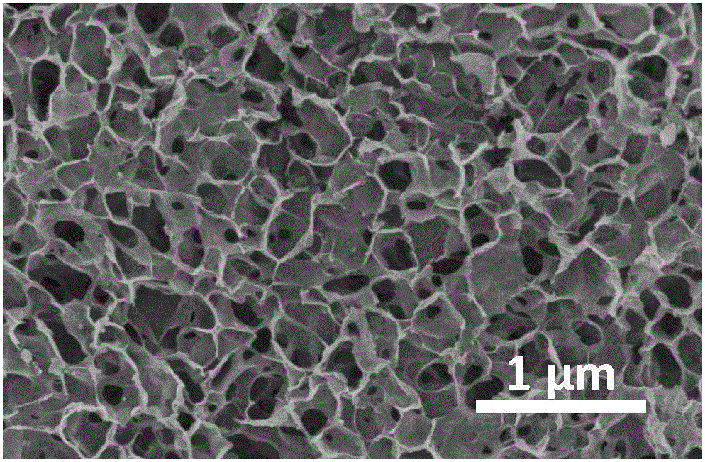 High-sulfur-content carbon-sulfur material and preparation method thereof