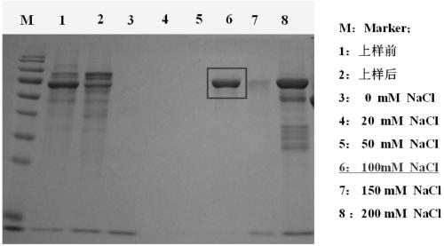 Mutant enzyme for detecting organophosphorus pesticides and preparation method thereof