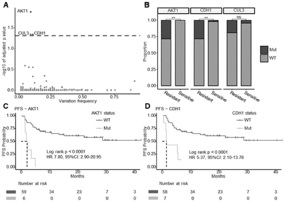 Markers and methods for predicting primary drug resistance of immune checkpoint inhibitor therapy