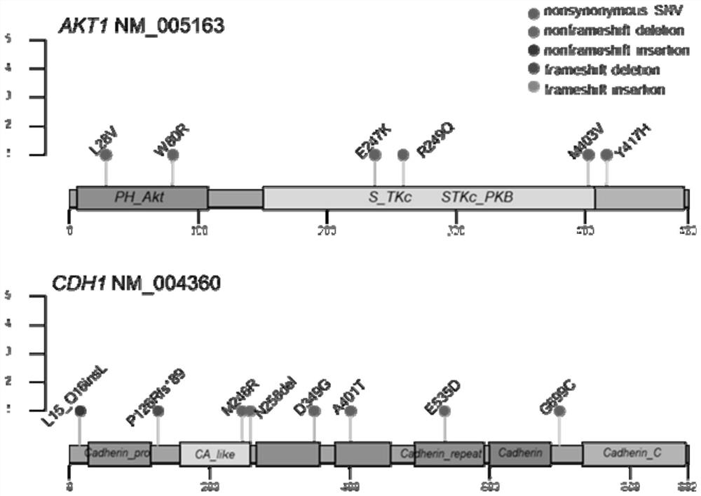 Markers and methods for predicting primary drug resistance of immune checkpoint inhibitor therapy