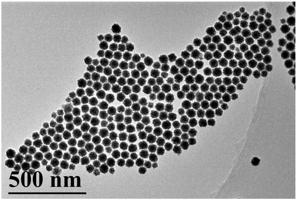 Platinum-copper alloy nano particle and preparation method thereof