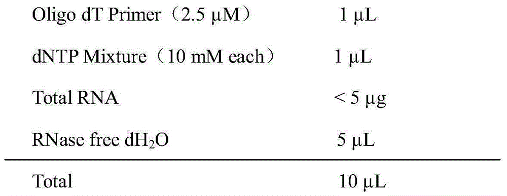 AFP nanometer antibody A18 based on AFP antigen