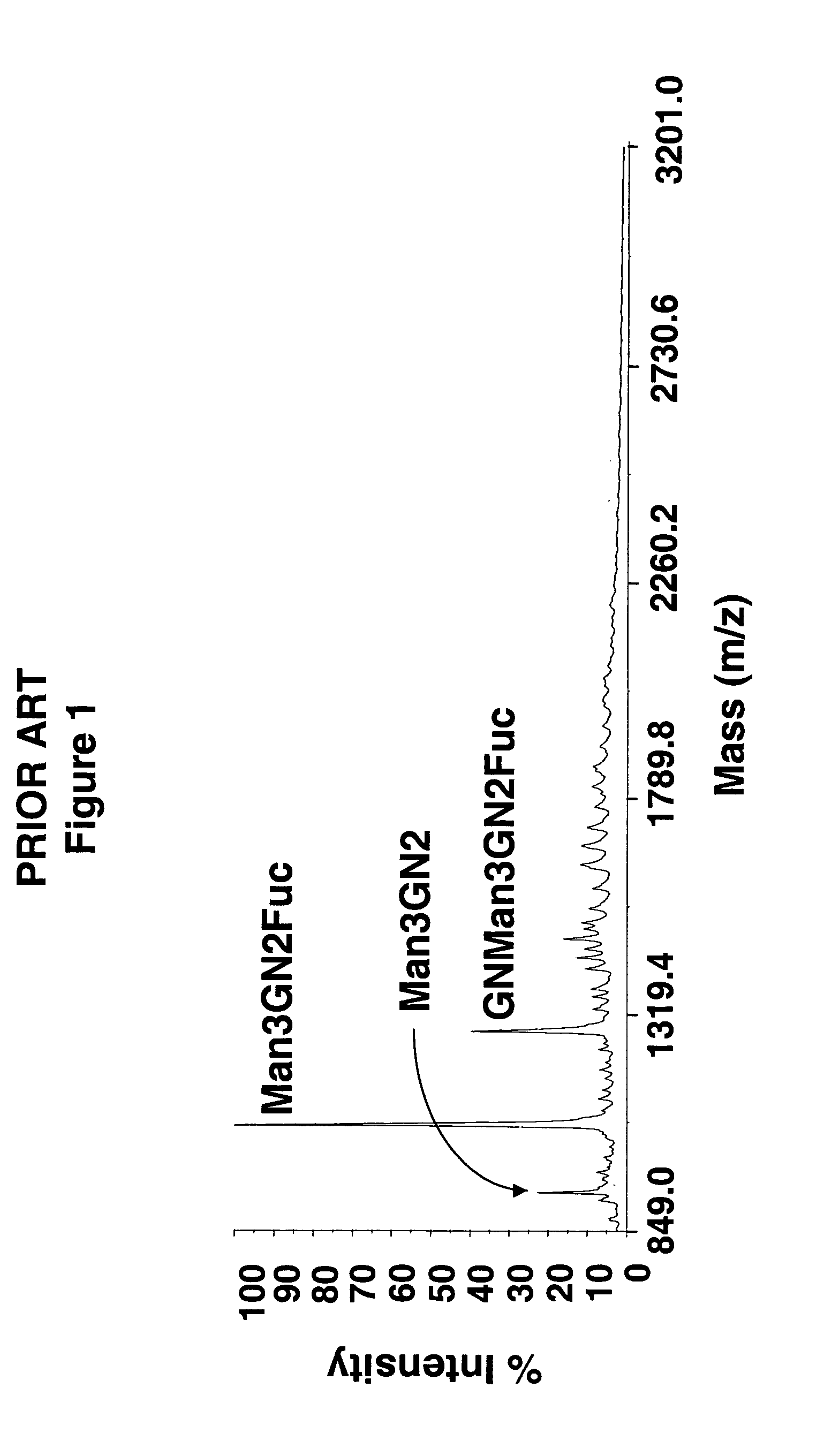 Glycosylated glucocerebrosidase expression in fungal hosts