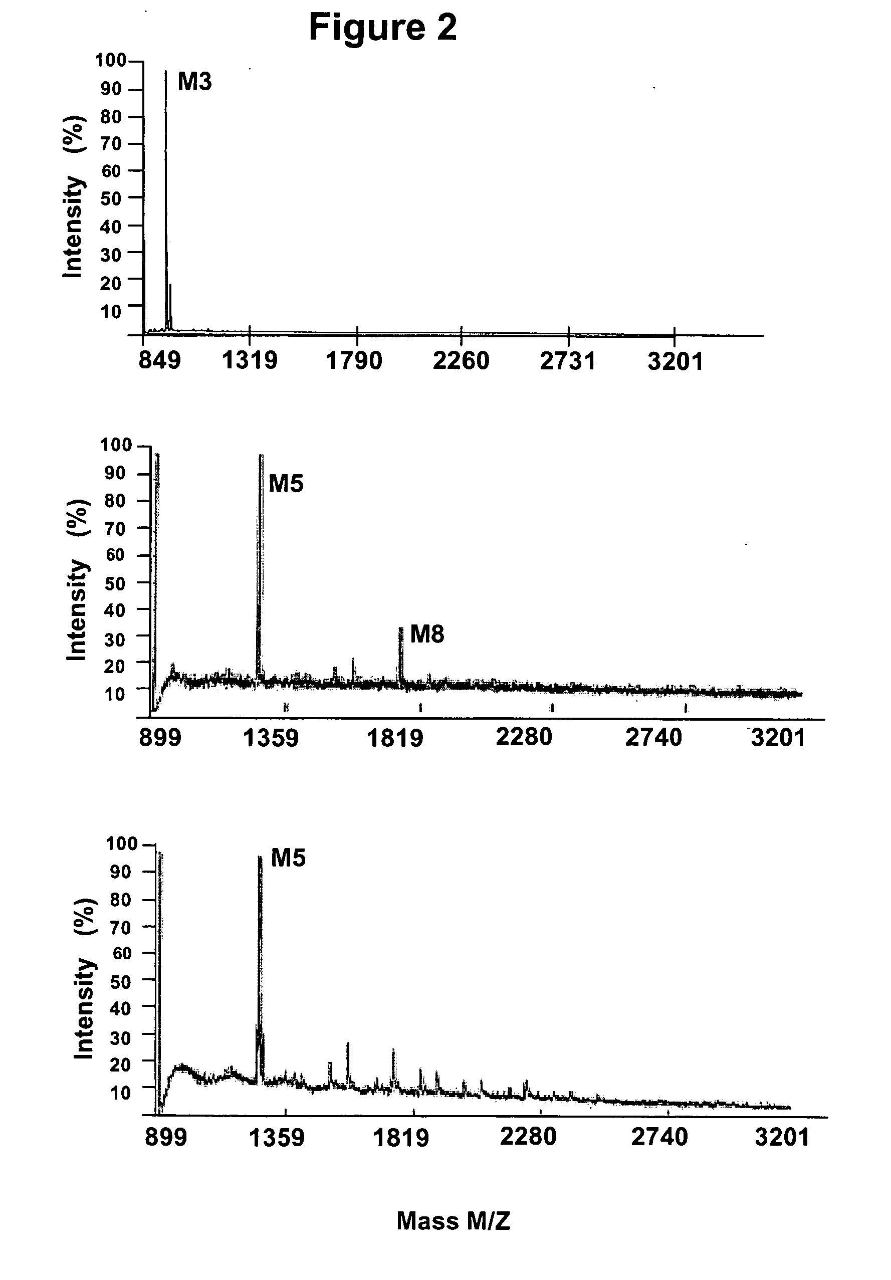 Glycosylated glucocerebrosidase expression in fungal hosts