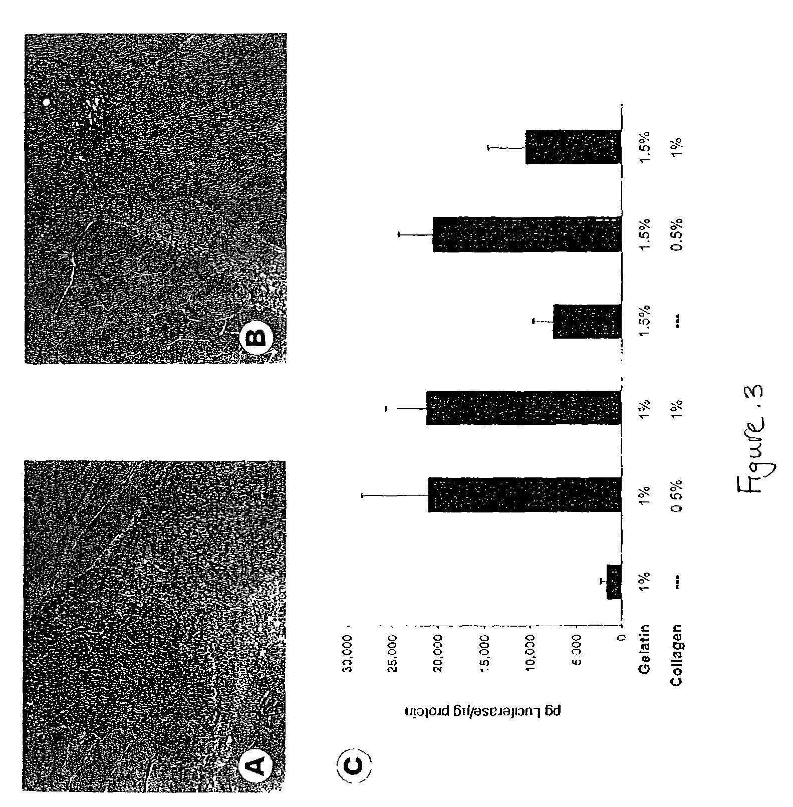 Traversal of nucleic acid molecules through a fluid space and expression in repair cells