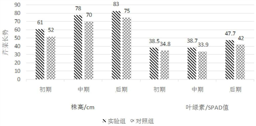 Crop straw biochar composite microbial organic fertilizer, preparation method and application thereof