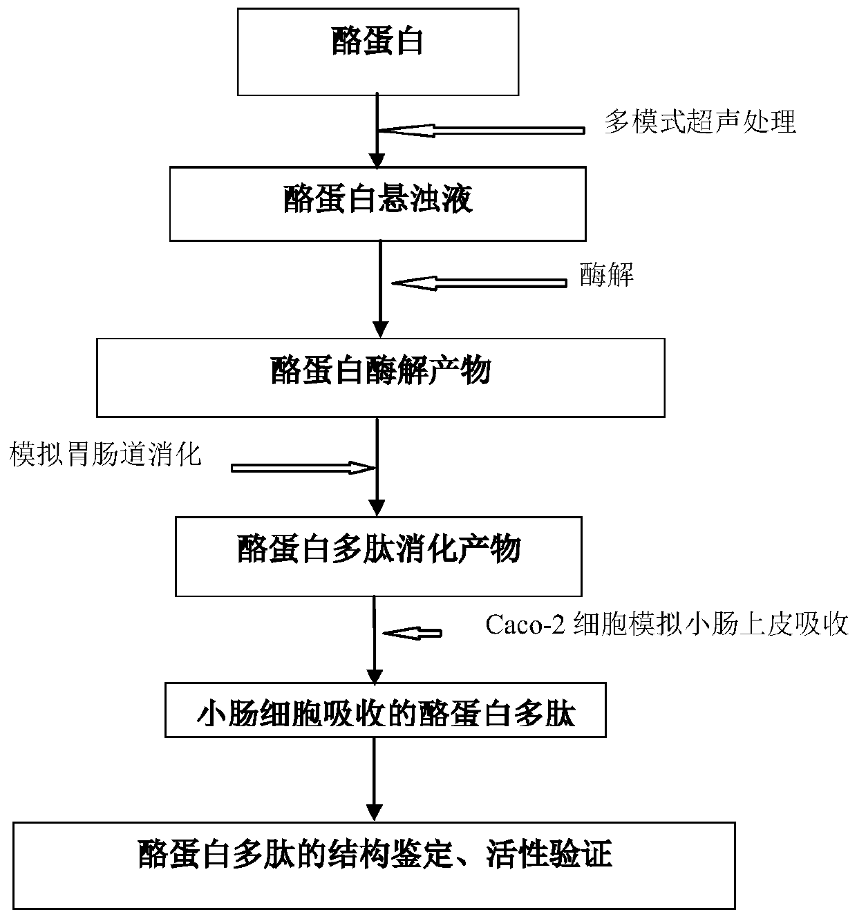 Ultrasound-assisted simulated digestion method of casein active peptide and its application in health food