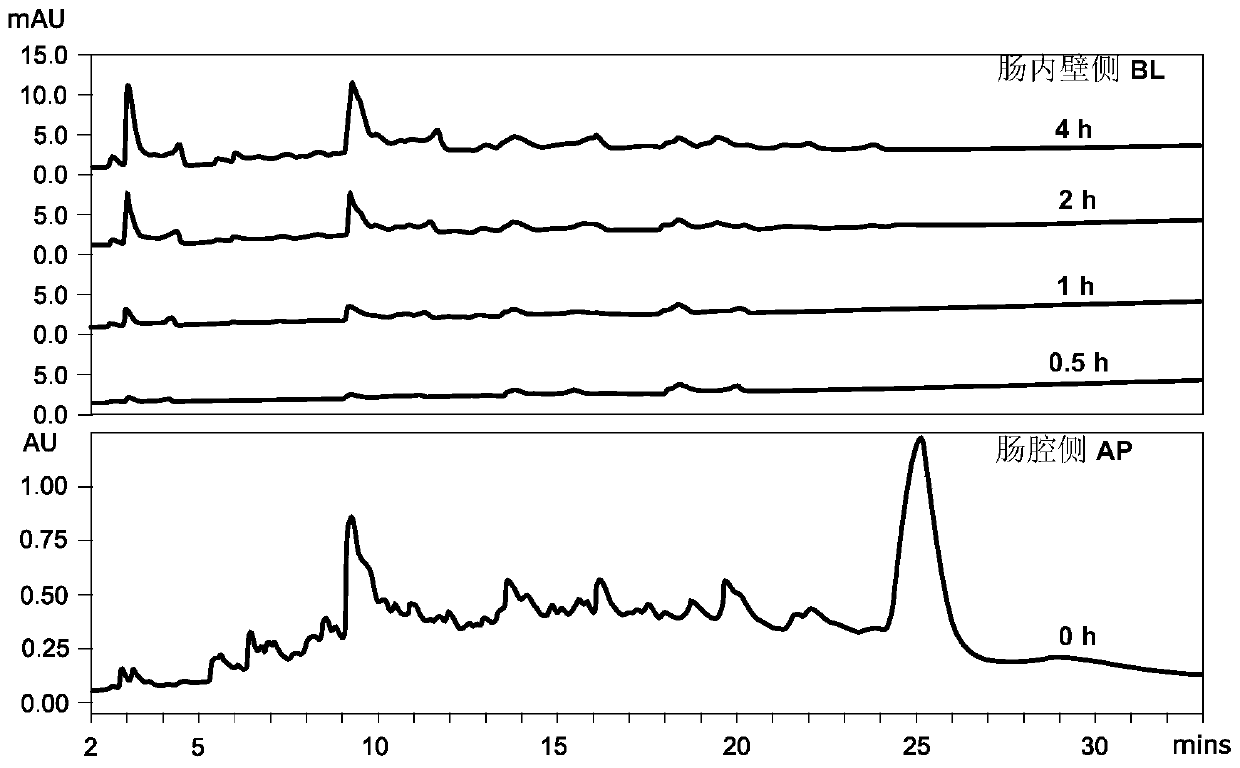 Ultrasound-assisted simulated digestion method of casein active peptide and its application in health food