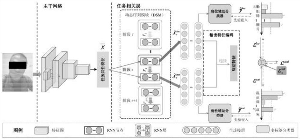 Visceral organ feature coding method based on face image multi-stage relationship learning