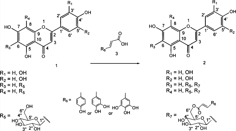 Preparation method and application of flavone-C-glycoside 6'' hydroxyl-ester derivative