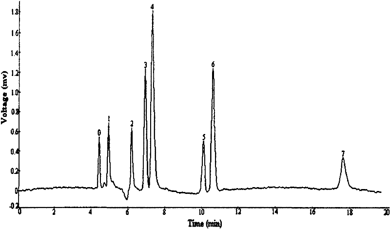 Zwitterion electric chromatographic column and preparation method thereof