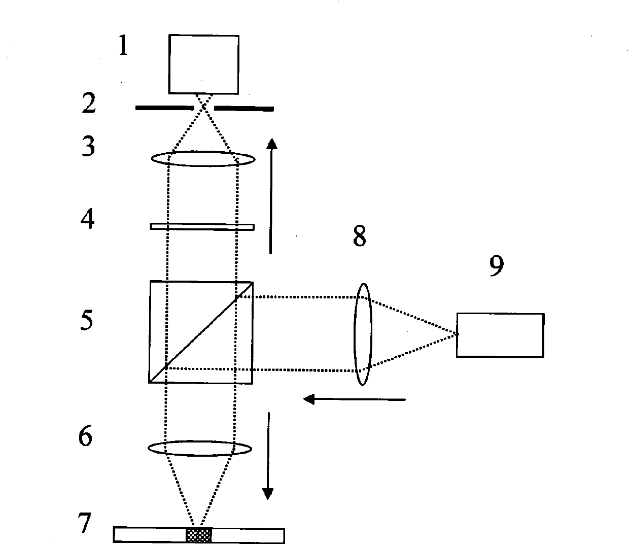 Electrophoretic chip for optical detection and electrophoretic device thereof