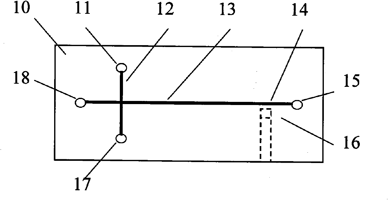 Electrophoretic chip for optical detection and electrophoretic device thereof