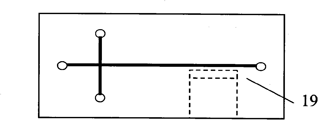 Electrophoretic chip for optical detection and electrophoretic device thereof