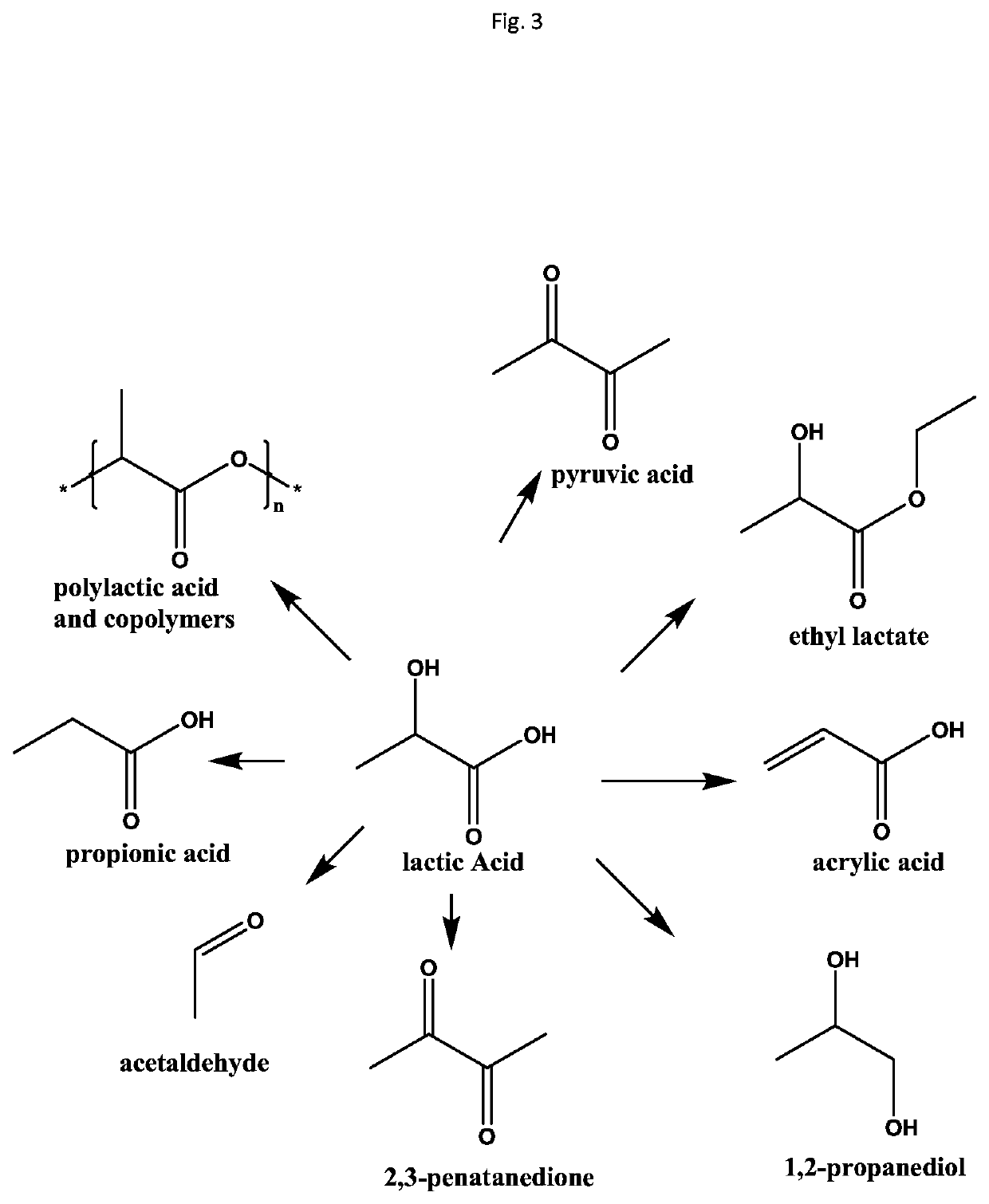 Processing biomass to obtain hydroxylcarboxylic acids