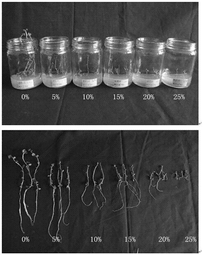 A kind of preparation method and application of solid-liquid two-phase PEG medium