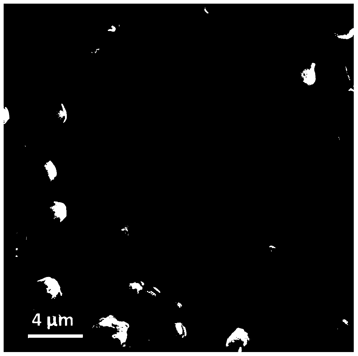 Composite solid electrolyte and preparation method thereof