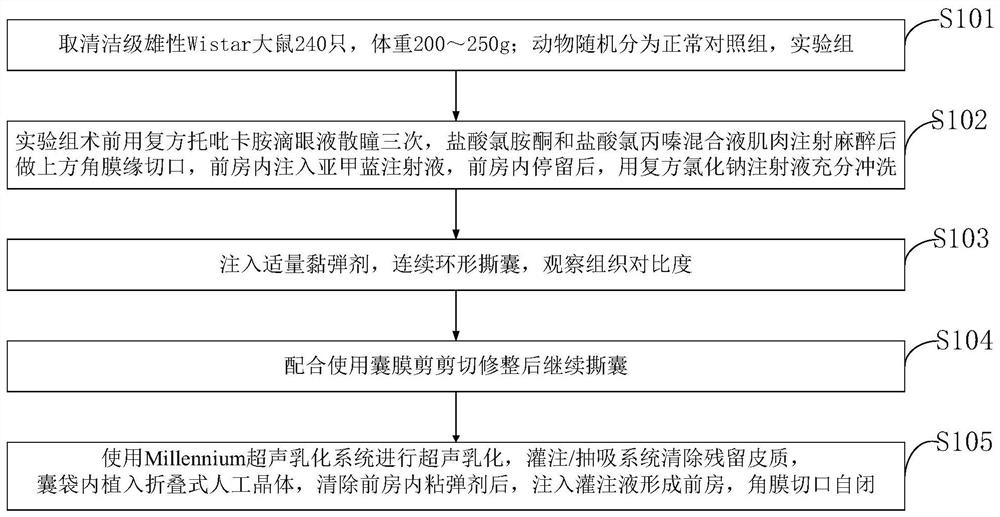 A method for staining the anterior lens capsule in overmature cataract surgery