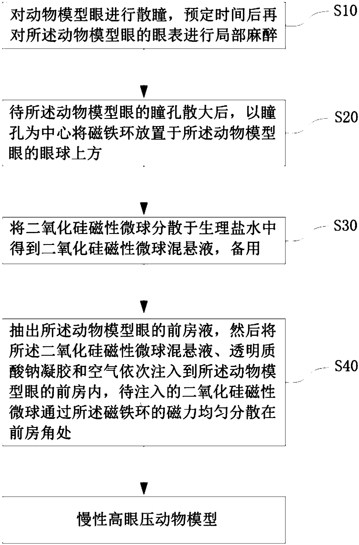 Method of establishing chronic ocular hypertension animal model