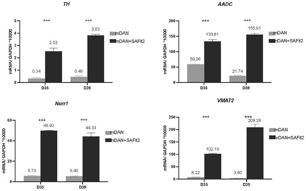 Application of SAFit2 and culture medium in promoting differentiation of human induced pluripotent stem cells to dopaminergic neurons