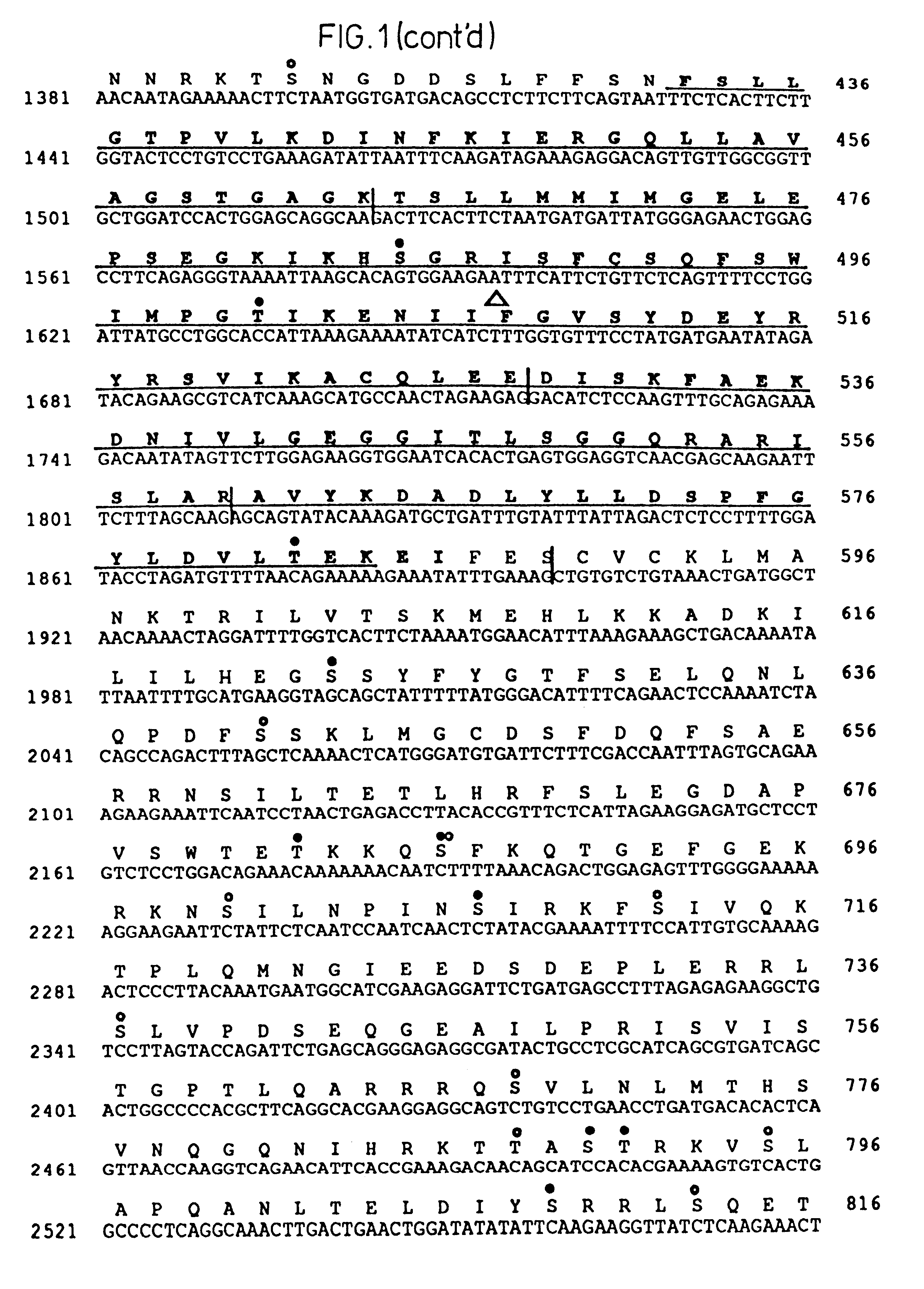 Cystic fibrosis gene