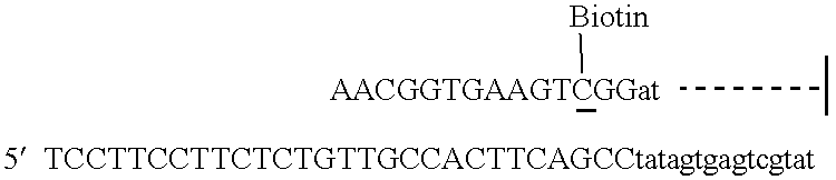 Isothermal exponential RNA amplification in complex mixtures