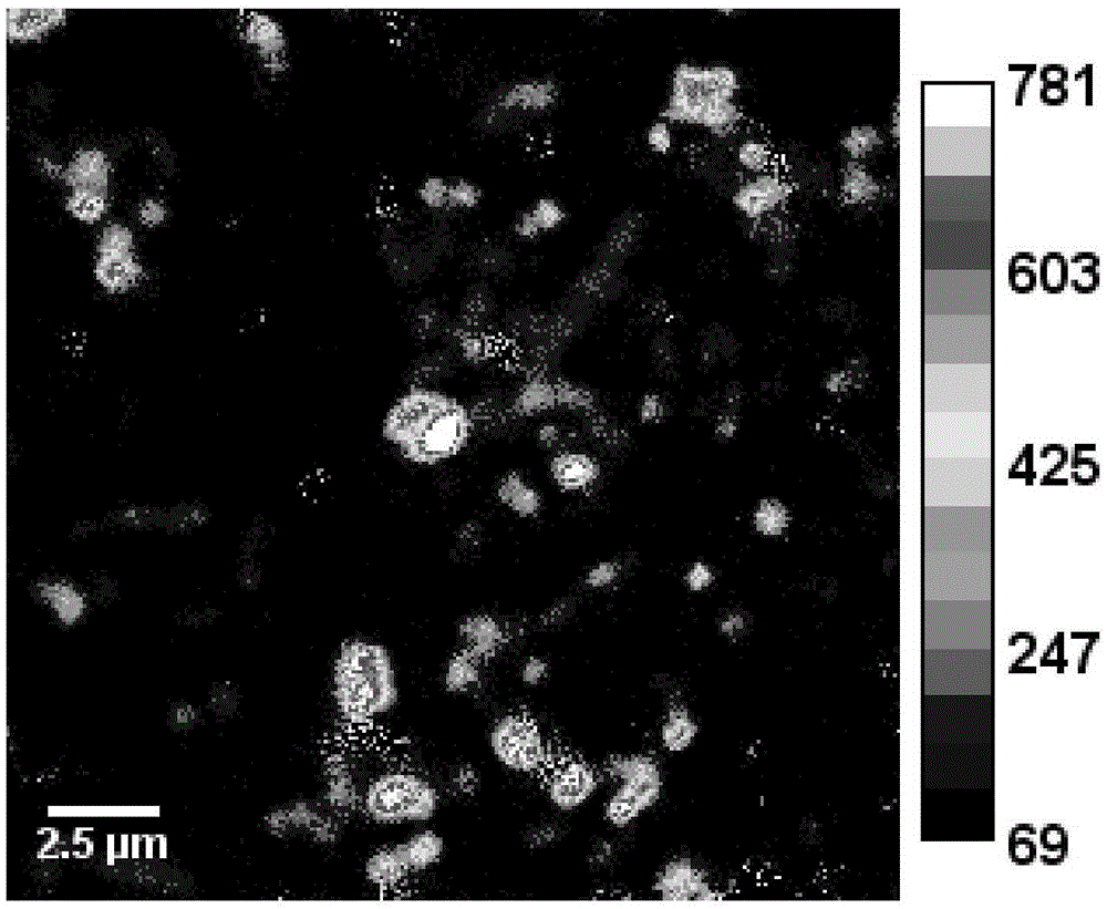 Method for identifying whether anammox bacteria in anammox reactor sludge utilize organic matter