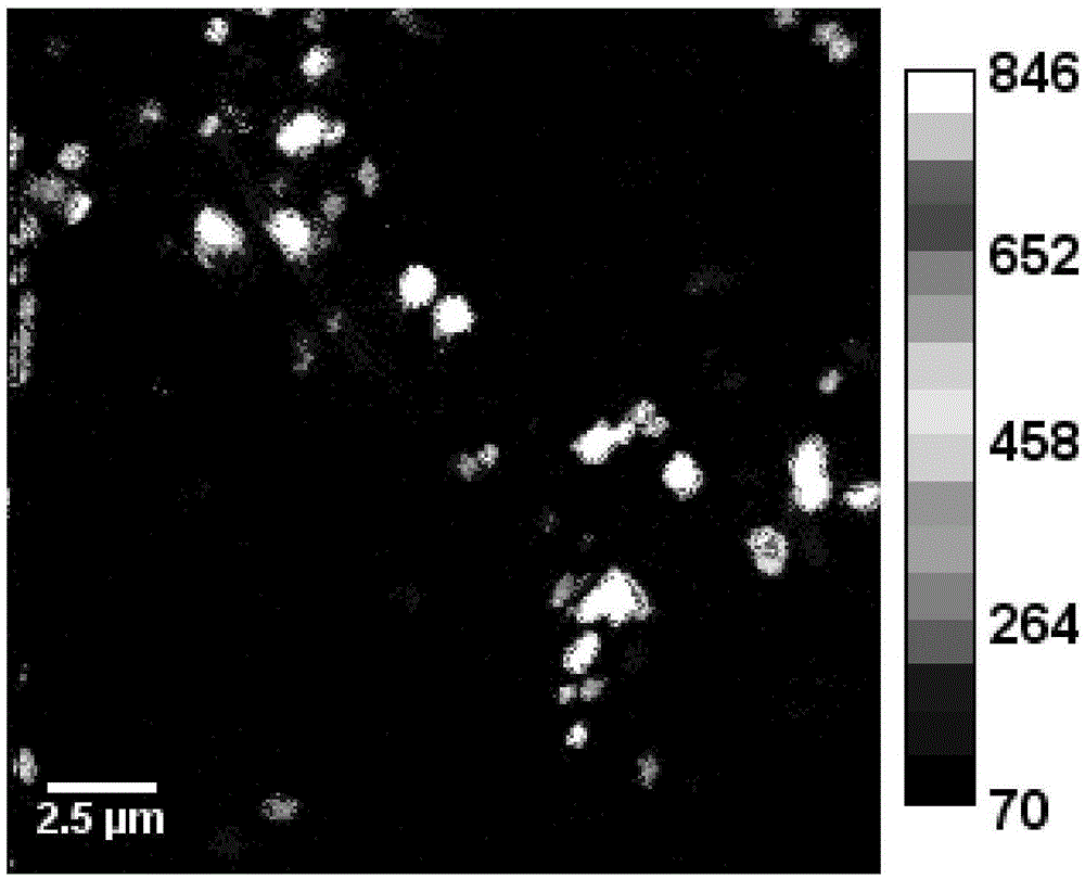 Method for identifying whether anammox bacteria in anammox reactor sludge utilize organic matter