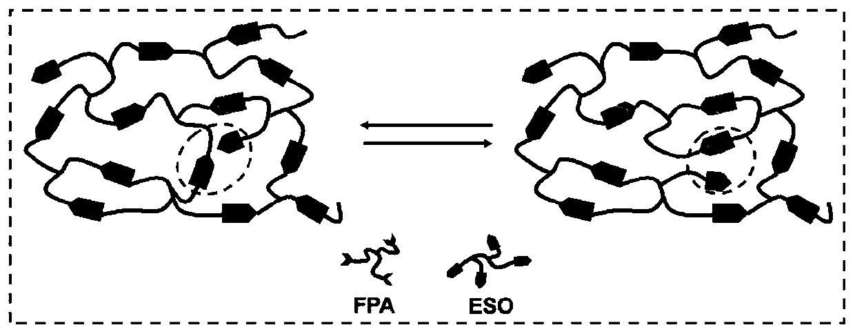 Preparation method of full bio-based vitrimer